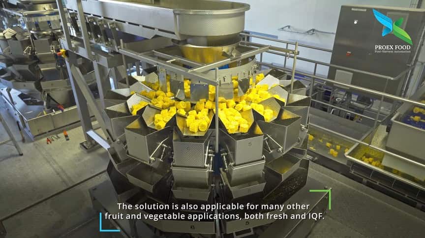 HoReCa Machinery filming