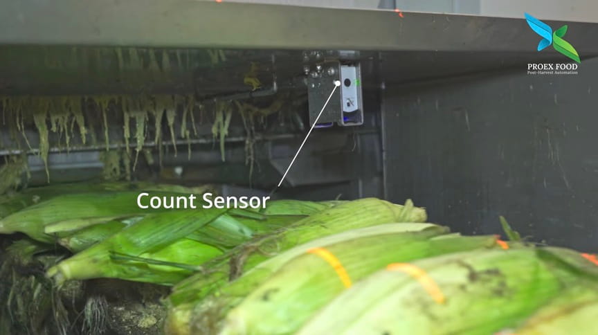 HoReCa Machinery filming