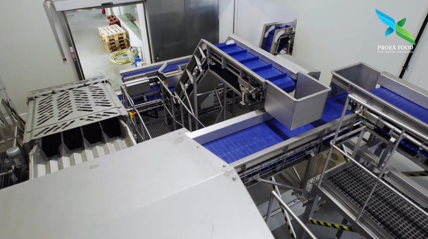 HoReCa Machinery filming